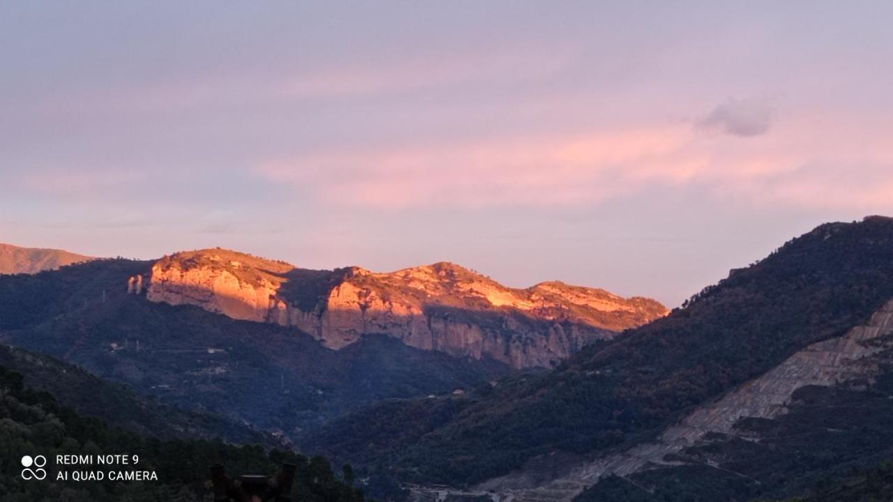 Agriturismo Vecchio Frantoio Villatella Dış mekan fotoğraf