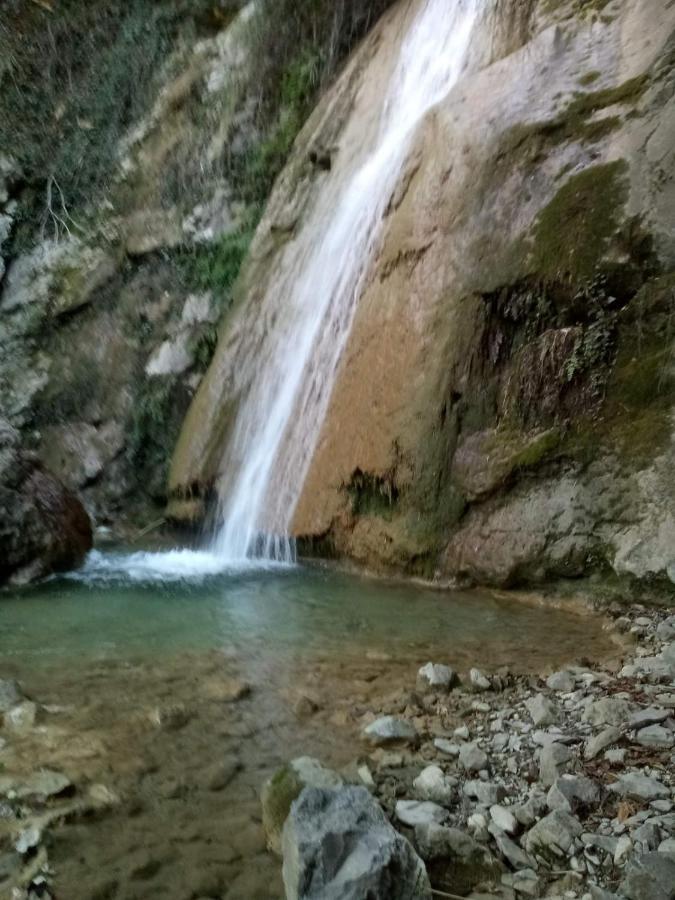 Agriturismo Vecchio Frantoio Villatella Dış mekan fotoğraf
