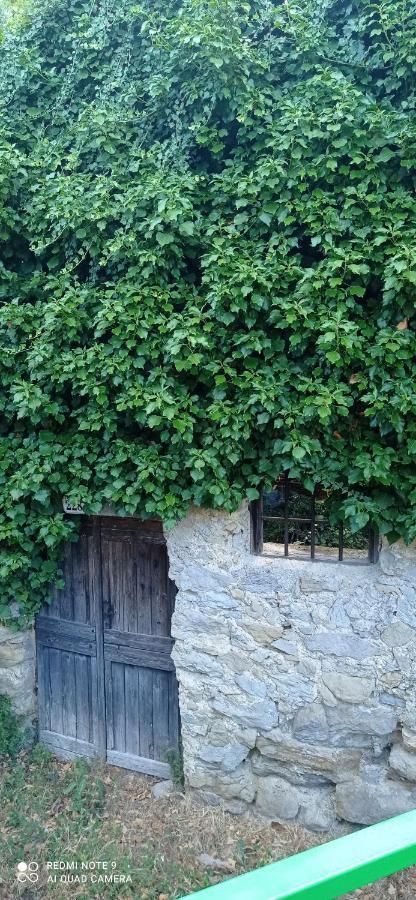 Agriturismo Vecchio Frantoio Villatella Dış mekan fotoğraf