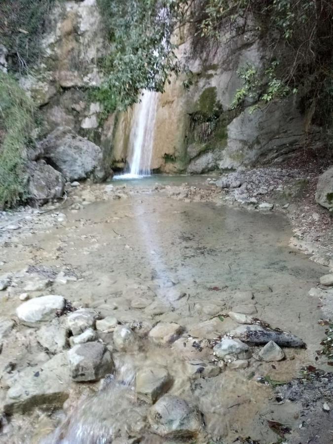 Agriturismo Vecchio Frantoio Villatella Dış mekan fotoğraf