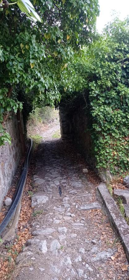 Agriturismo Vecchio Frantoio Villatella Dış mekan fotoğraf