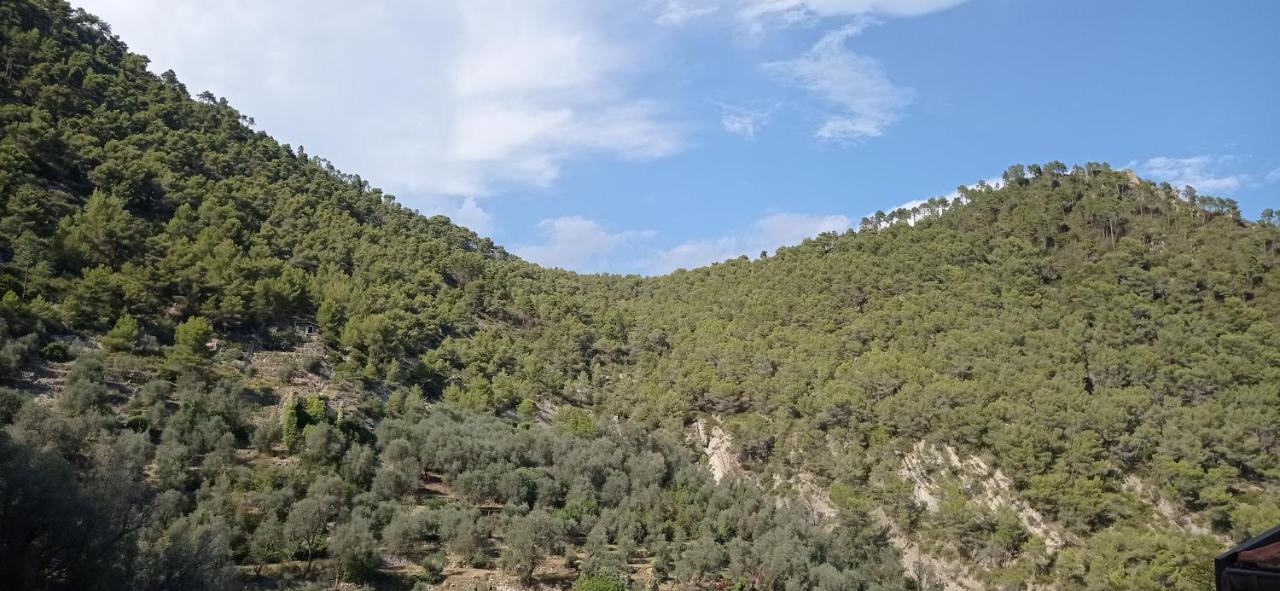 Agriturismo Vecchio Frantoio Villatella Dış mekan fotoğraf