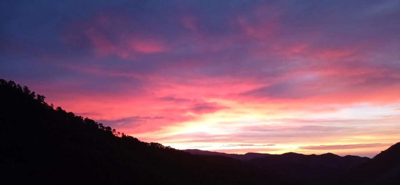 Agriturismo Vecchio Frantoio Villatella Dış mekan fotoğraf
